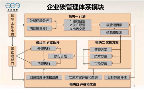 大型控排企業(yè)碳資產管理體系pdf