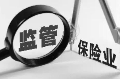 保險資產管理公司的資產管理 角色、挑戰(zhàn)與發(fā)展趨勢